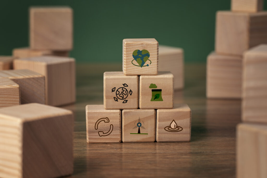 CSR Management in India