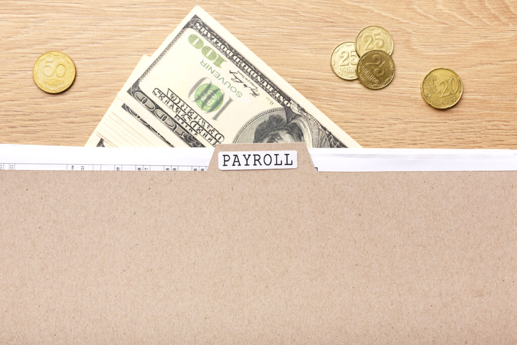 Payroll services for small business in India managing salary processing and compliance